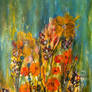Flower Field...(524)