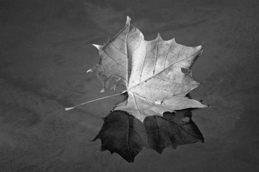 Floating on Glass