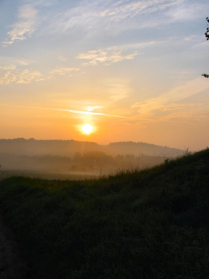 golden fog