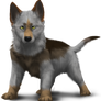 Wolf pup adoptable 20pts - CLOSED