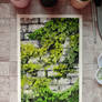 Overgrown wall )))