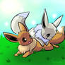 Eevees playing