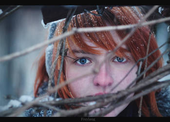 Winter by Freylaug