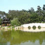 California, Chinese Gardens