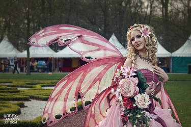 elf fantasy fair 6702