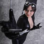 Catwoman: Claws