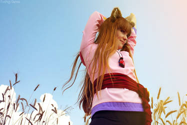 Horo Cosplay