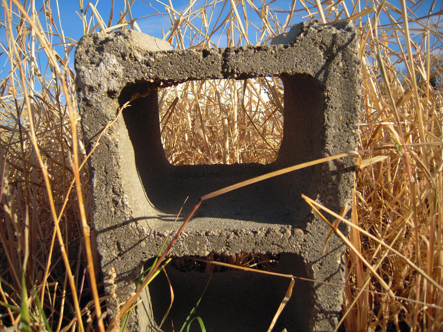 overgrown block by cutique on DeviantArt