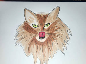 Meow