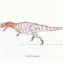 Ceratosaurus nasicornis (male)