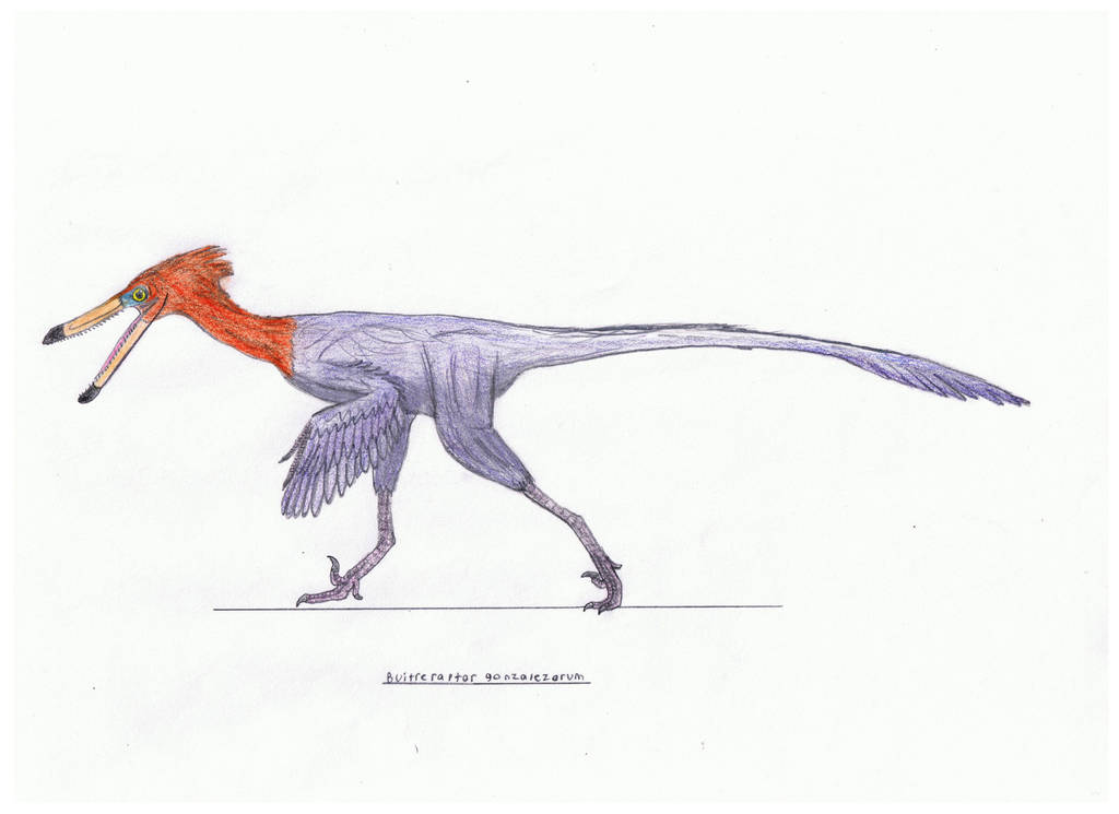 Buitreraptor gonzalezorum by Pappasaurus