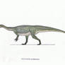 Plateosaurus engelharti