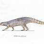 Stagonolepis (aetosaur)