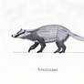 Didelphodon (marsupial)