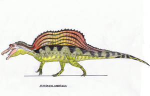 Spinosaurus aegyptiacus