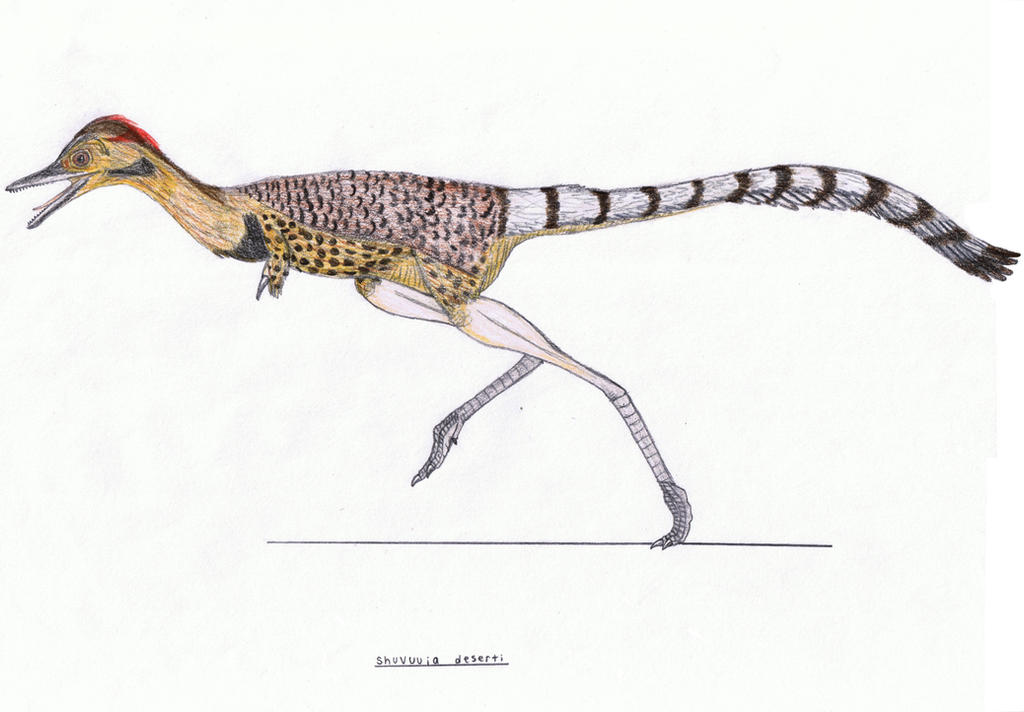 Shuvuuia deserti