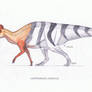 Corythosaurus casurarius