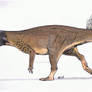 Psittacosaurus sp. (updated)