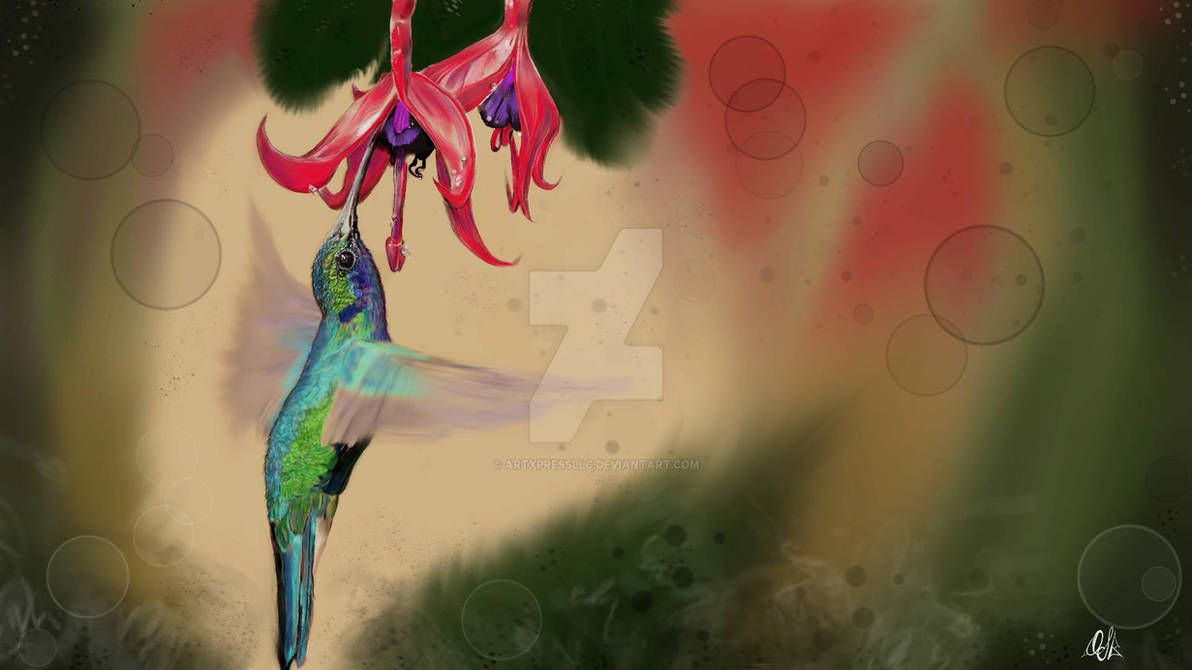 Deviantart Mailbird Hummingbird by ArtXpressLLC on DeviantArt