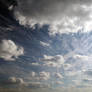 Big Sky Stock