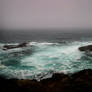 Let The Sea Carry Me