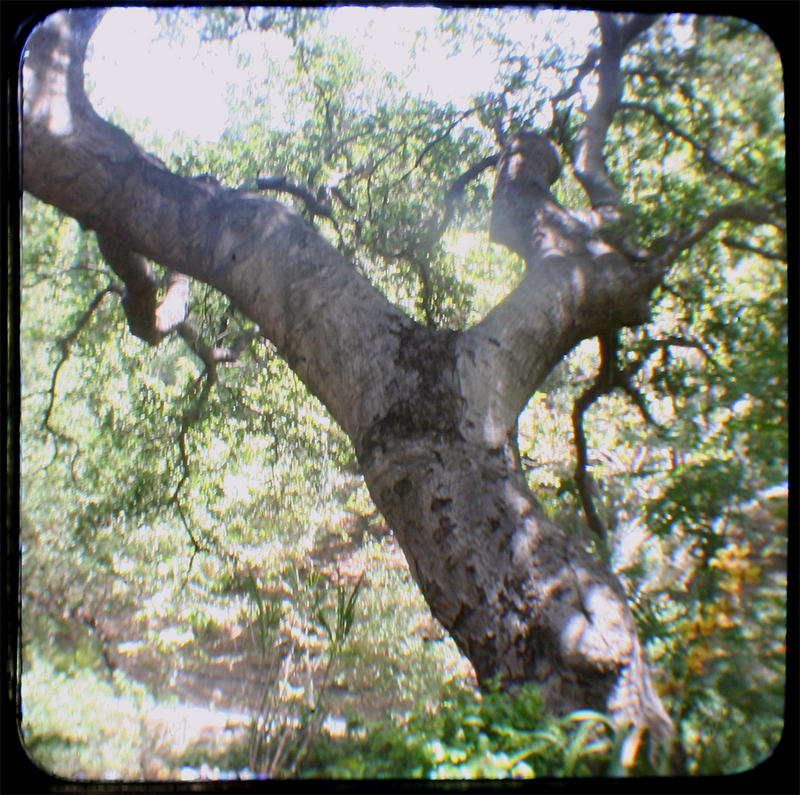 TtV test 1 by Vividlight on DeviantArt