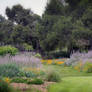 Santa Barbara Botanical Garden