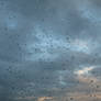 Raindrops On The Windshield