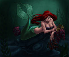 Surprise -- The Little Mermaid