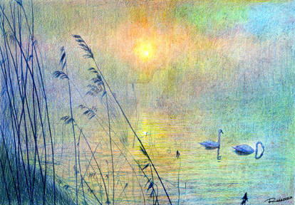 Reedbed