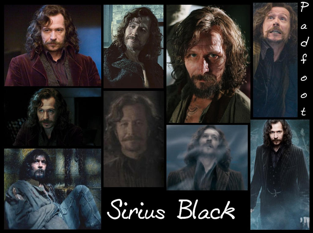 Marauder Sirius Black- Padfoot