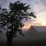 Misty Moor.