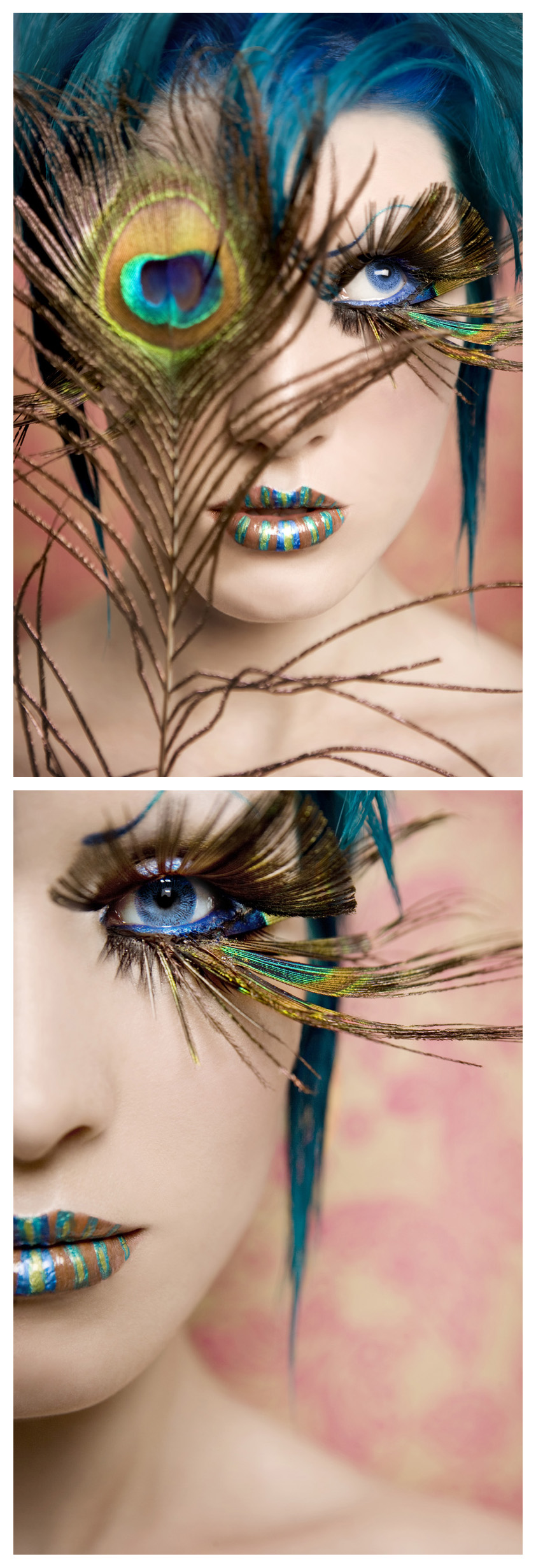 Peacock Eyes.