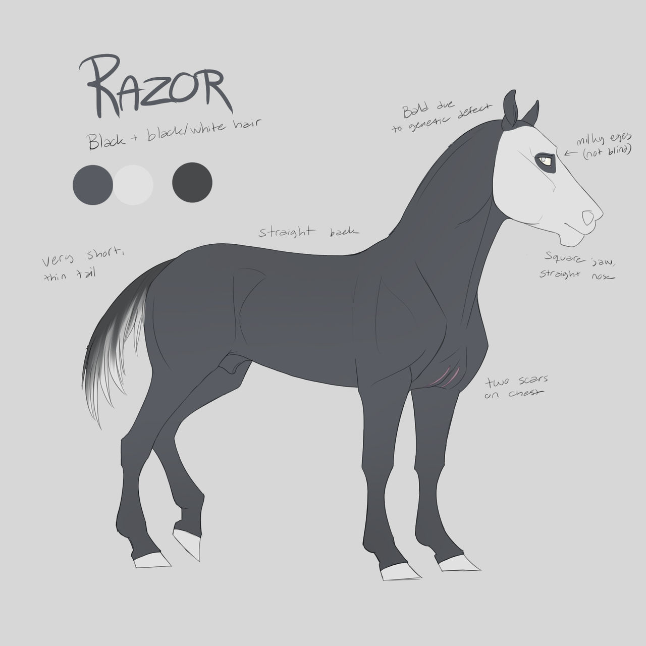 Razor reference by siIvr on DeviantArt