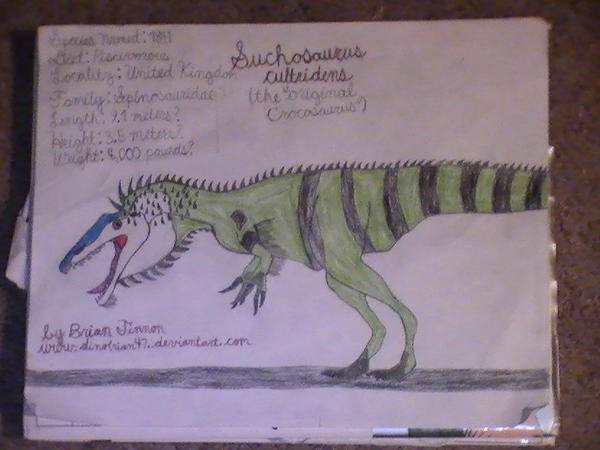 Suchosaurus-the original Crocosaurus by DinoBrian47 on DeviantArt