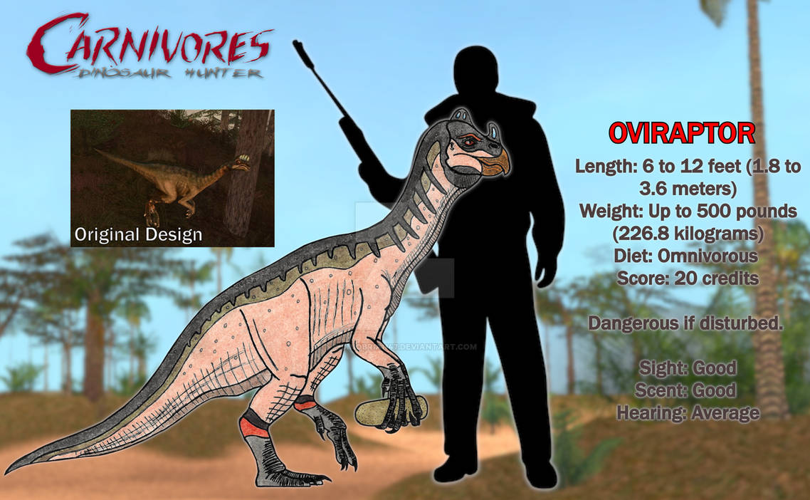 Aviraptor Oviraptor Size Ivaniofri в X: „Comparison Between Gigantoraptor And