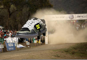 Crazy Rally Shoe