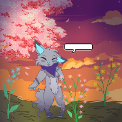 . where to now? . ( gif )