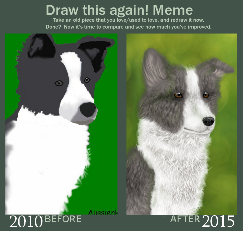 2010 vs. 2015