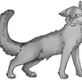 Graystripe