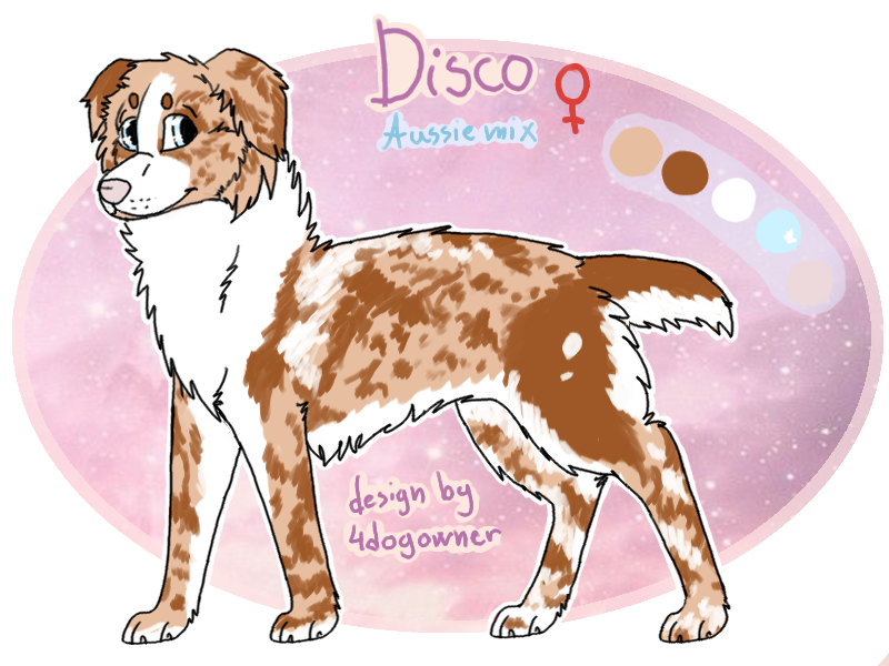 Disco - Reference Sheet