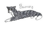 Barney by gaajuska