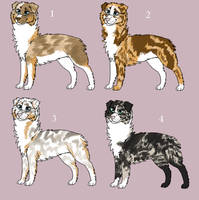 Aussie adoptables | 30 points | OPEN