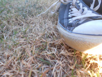 old dusty converse