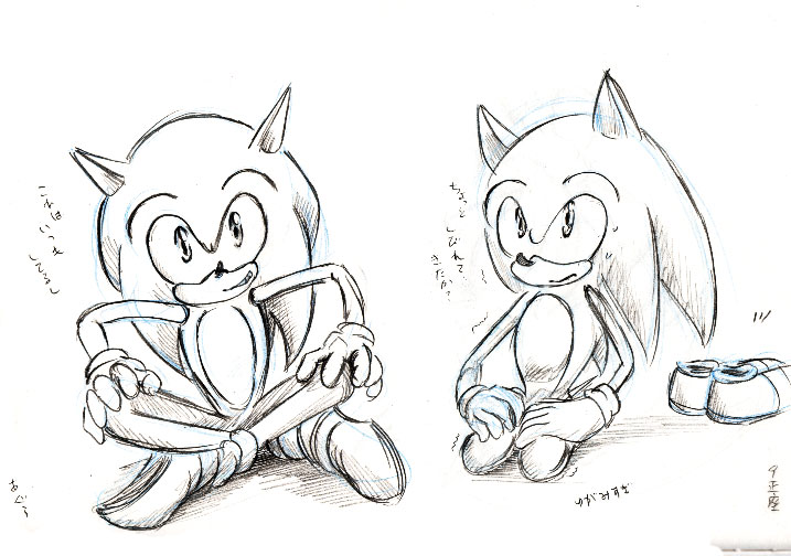 9 sitting correctly  sonic