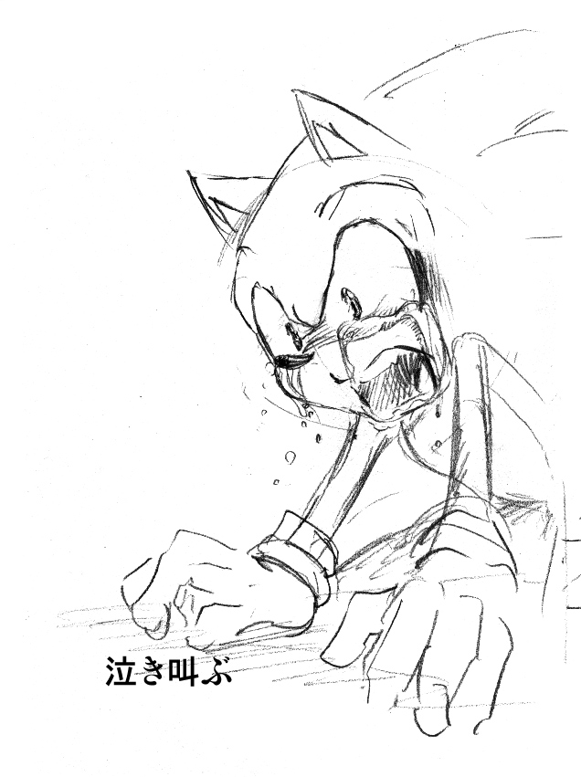 sonic cry 44 scream