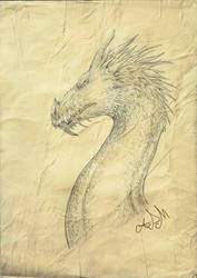 ANCIENT DRAGON