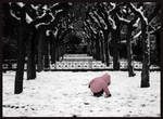 SNOW by thalia29