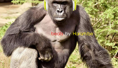 Beats By Harambe