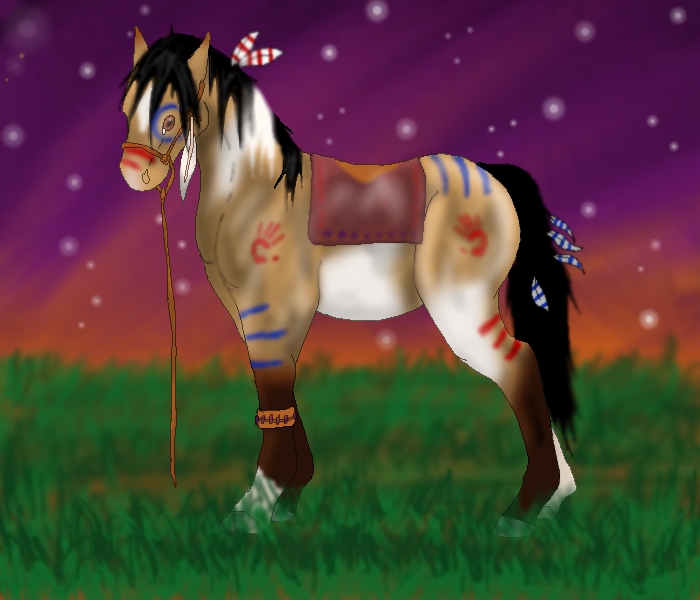 Indian Horse